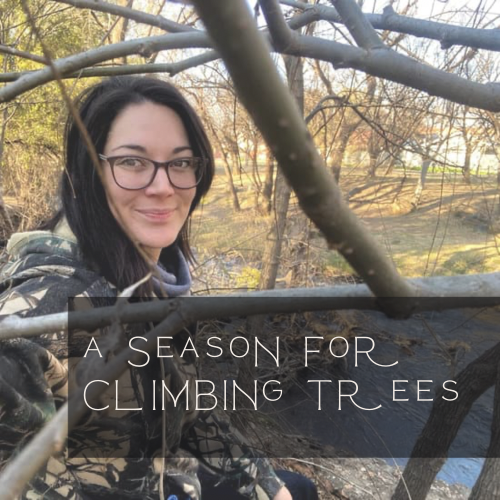 a season for climbing trees